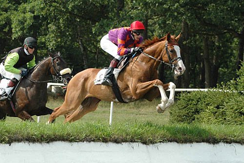 Juvik na dostihu 2007.