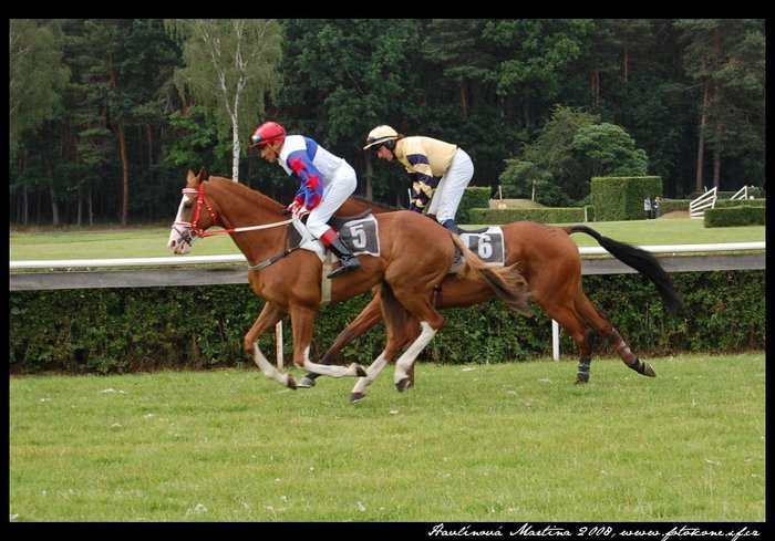 (74)Juvik a Moning Let