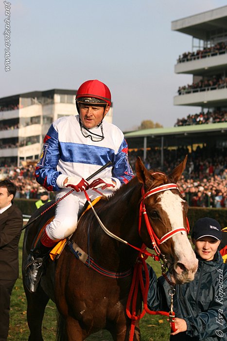 Po VP 2008